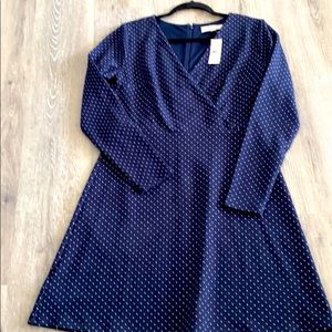 Ann Taylor loft work dress
